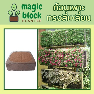 Magicblock ก้อนเพาะปลูกมหัศจรรย์ทรงเหลี่ยม ขนาด 30*30 ซม