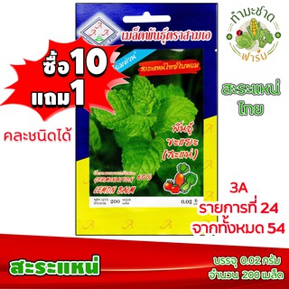 (ซื้อ10แถม1) เมล็ดพันธุ์ สะระแหน่ Lemon Balm ประมาณ 200เมล็ด 3A สามเอ ผักสวนครัว เมล็ดพันธุ์พืช เมล็ดผัก เม็ดผัก พืชผัก