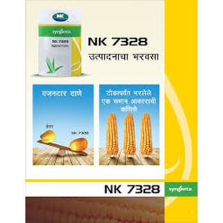 เมล็ดพันธุ์ข้าวโพด NK 7328 ขนาด10 กิโลกรัม สินค้ามีพร้อมส่ง