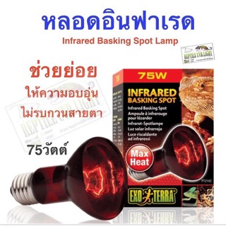 โปรโมชั่นลดราคา Exo Terra - Infrared Basking Spot 75W Infrared Basking Spot Lamp 75W หลอดอินฟราเรดความร้อน 75วัตต์