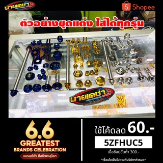 เวฟ110i เวฟ125i/S/R ดรีม110 น๊อตทั้งคันยกเซ็ต ทอง/เงิน/ไทเท