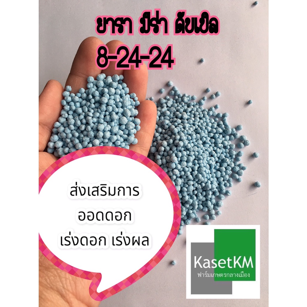 46-0-0-16-16-16-8-24-24-kasetkm