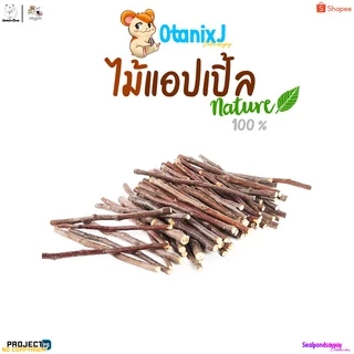 ไม้เเอ๊ปเปิ้ล ที่ลับฟัน หนู เเฮมเตอร์ กระรอก ชูการ์ กระต่าย ดอร์เม้าท์ เเละสัตว์ฟันเเทะอื่นๆๆ