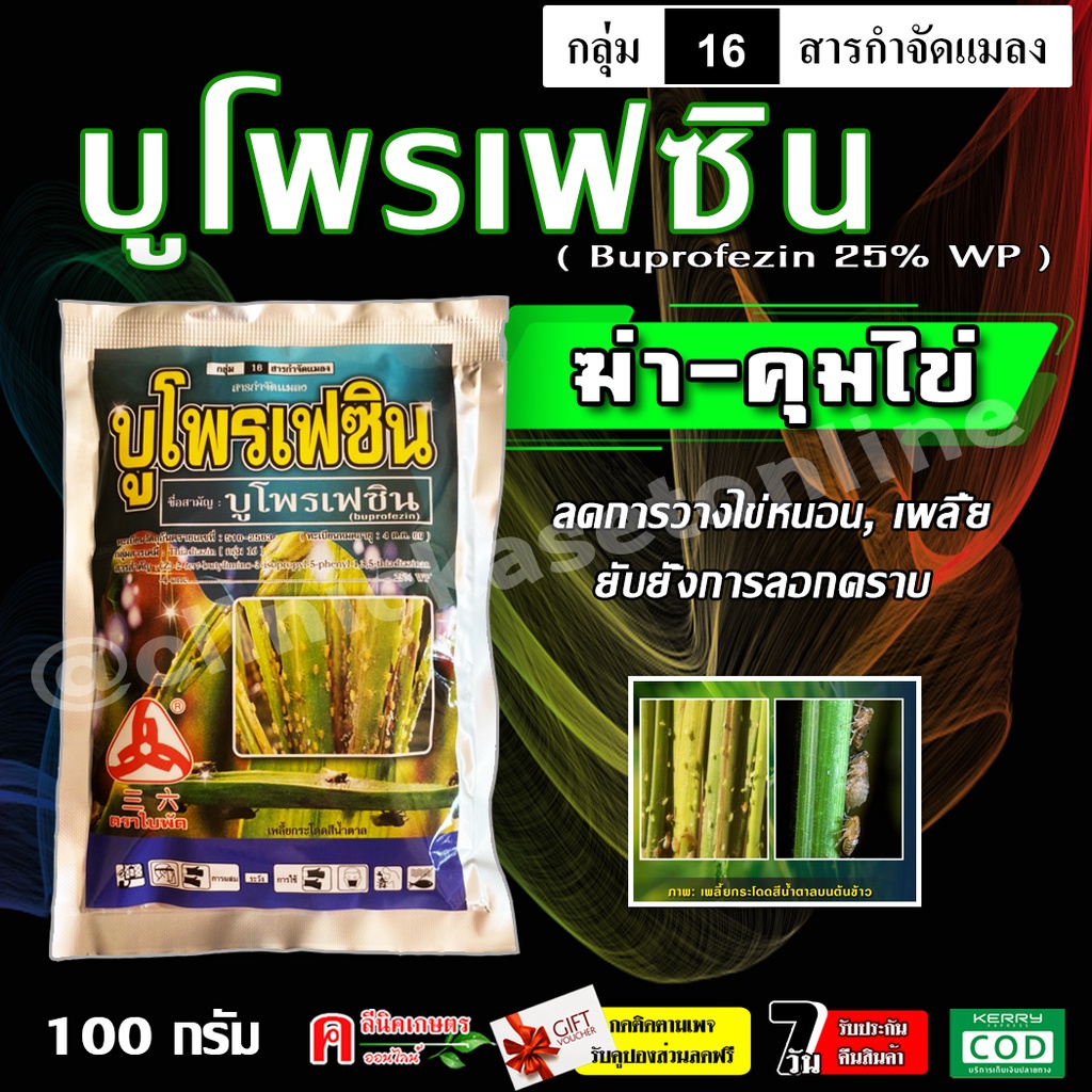 บูโพรเฟซิน   ( 100 กรัม ) สารยับยั้งการลอกคราบของแมลง คุม-ฆ่าไข่หนอน คุมไข่เพลี้ย เพลี้ยกระโดด และแมลงปาดดูด ยาเย็น