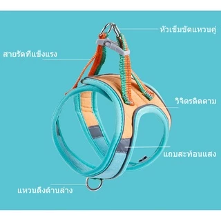BHQ สายจูงสัตว์เลี้ยง สายจูงแมวสะท้อนแสงหลากสี ปลอกคอแมว สายจูงสุนัข ปรับขนาดได้ Velcro+หัวเข็มขัด แถบสะท้อนแสง