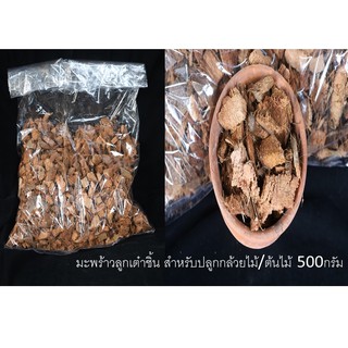 กาบมะพร้าว มะพร้าวลูกเต๋าชิ้น เครื่องปลูกกล้วยไม้ ไม้ประดับ 500กรัม