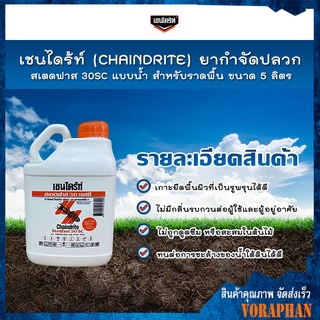 เชนไดร้ท์ (CHAINDRITE) ยากำจัดปลวก สเตดฟาส 30SC แบบน้ำสำหรับราดพื้น ขนาด 5 ลิตร