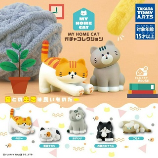 โมเดลน้องแมว Fluffy House My Home Cat Gacha Collection จากญี่ปุ่น มี 5 แบบให้เลือก