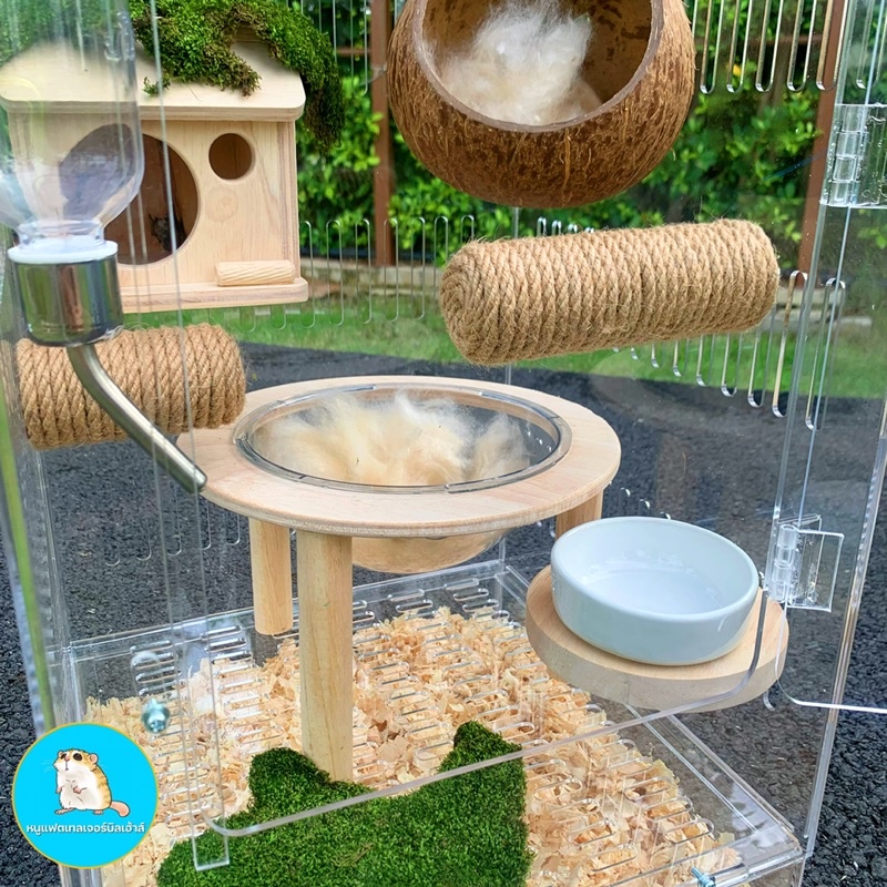 ตู้No.4 กรงเลี้ยงชูการ์ ดอร์เม้าส์ กระรอก 30x30x60ซม./กรงชูการ์ กระรอกจิ๋ว บ้านชูการ์ - รูปที่ 2