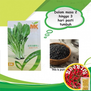 Benih Sawi Putih /Pak Choy (vegetable seeds) (Harga Ekonomi)ผักกาดหอม /ดอกไม้/กางเกง/ผักชี/มักกะโรนี/แอปเปิ้ล/มะละกอ/เมล