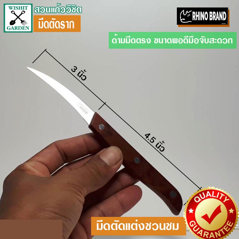 มีดตัดราก ตราแรด ขนาด 3 นิ้ว 1 ชิ้น มีดตัดรากชวนชม มีดตัดแต่งชวนชม