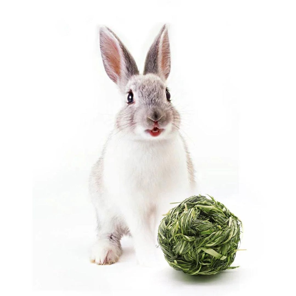 1 ชิ้น ลูกบอล บอลหญ้า หญ้าทิโมธี Timothy Ball ของเล่นลับฟัน สำหรับสัตว์ฟันแทะ กระต่าย ชินชิลล่า แกสบี้ แพรี่ด็อก