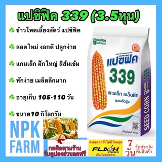 ข้าวโพดเลี้ยงสัตว์ แปซิฟิค 339 (3.5 หุน) เมล็ดกลมกลาง ขนาด 10 กิโลกรัม ถุงใหม่ ลอตใหม่ งอกดี แกนเล็ก ฝักใหญ่ สีส้มเข้ม