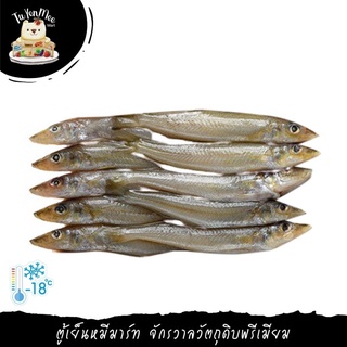 500G(20PCS) ปลาทรายทั้งตัว ขอดเกล็ด ควักไส้ แช่แข็ง WHOLE KISU (GUTTED)