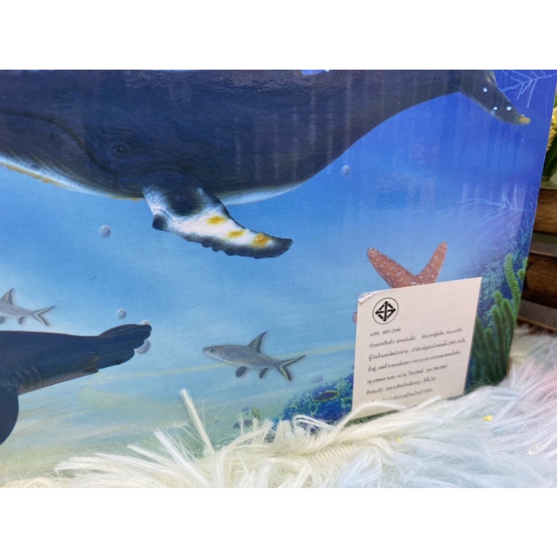 🌈ของเล่น ของเล่นเด็ก ปลาทะเล ปลายาง ปลาทะเลลึก ปลาโลมา ปลาฉลาม ปลาวาฬ ปลา - รูปที่ 5