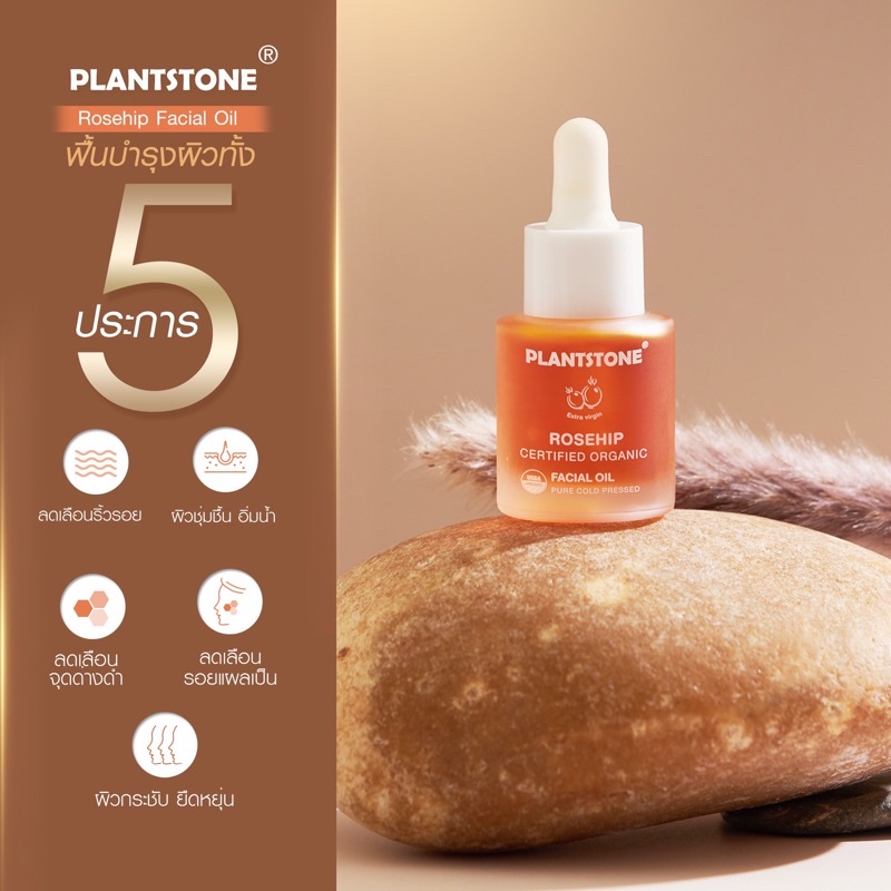 PLANTSTONE Rosehip USDA Organic Oil Extra Virgin 100% Pure Cold Pressed (โรสฮิปออยล์ออร์แกนิคสกัดเย็น)