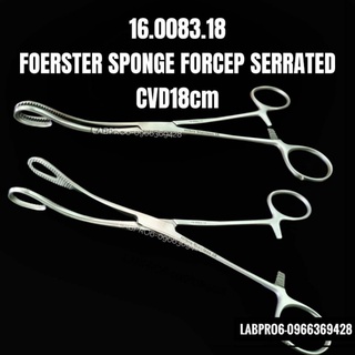 HILBRO-16.008-คีมหนีบสำลี FOERSTER SPONGE FORCEP SERRATED คี…