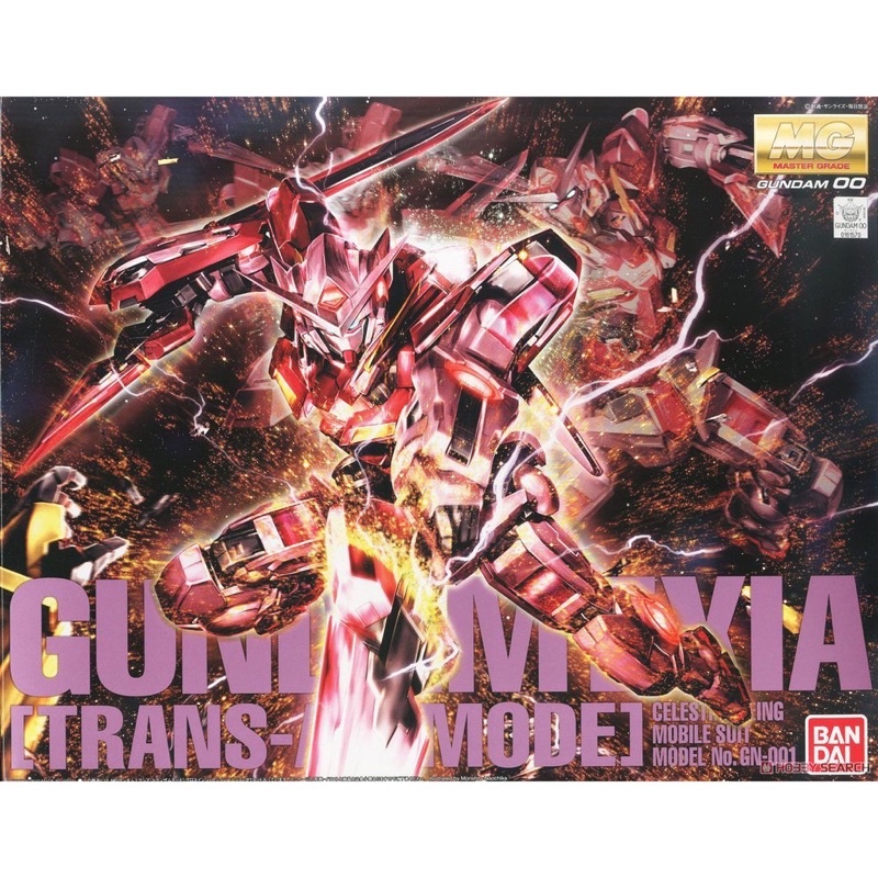 MG BANDAI Gundam EXIA Transam Mode [Metallic Gross Injection]