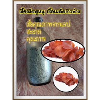 เชื้อเห็ดหูหนูเชื้อเมล็ดข้าวฟ่าง 5ขวด 150-.