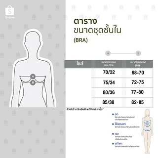 [ส่งจากไทย] 𝑩𝒓𝒂𝑩𝒓𝒂𝑩𝒓𝒂 #bra-147 ชุดชั้นใน ผ้าคอตตอน ใส่สบาย ไร้โครง Sleeping bra