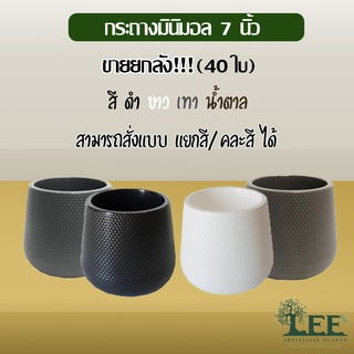 🔥กระถางราคาส่ง🔥 กระถางมินิมอล (Minimal) กระถางเบลล่า กระถางพลาสติก 7 นิ้ว ยกลัง(40ใบ) กระถางต้นไม้