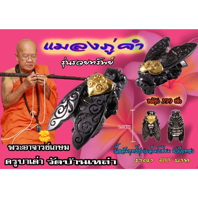 แมลงภู่คำ รุ่น รวยทรัพย์ ครูบาเต่า วัดบ้านเหล่า จ.เชียงใหม่