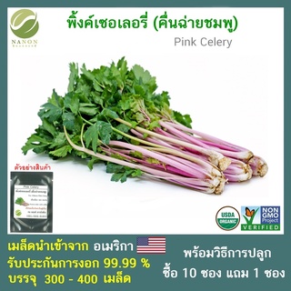 เมล็ดพิ้งค์ เซเลอรี่ คื่นฉ่ายฝรั่งสีชมพู (Pink Celery)