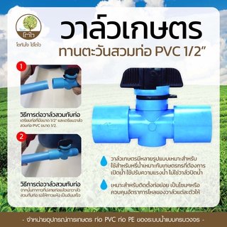 วาล์วสวมท่อ PVC แบบทานตะวัน ขนาด1/2" - โตไว