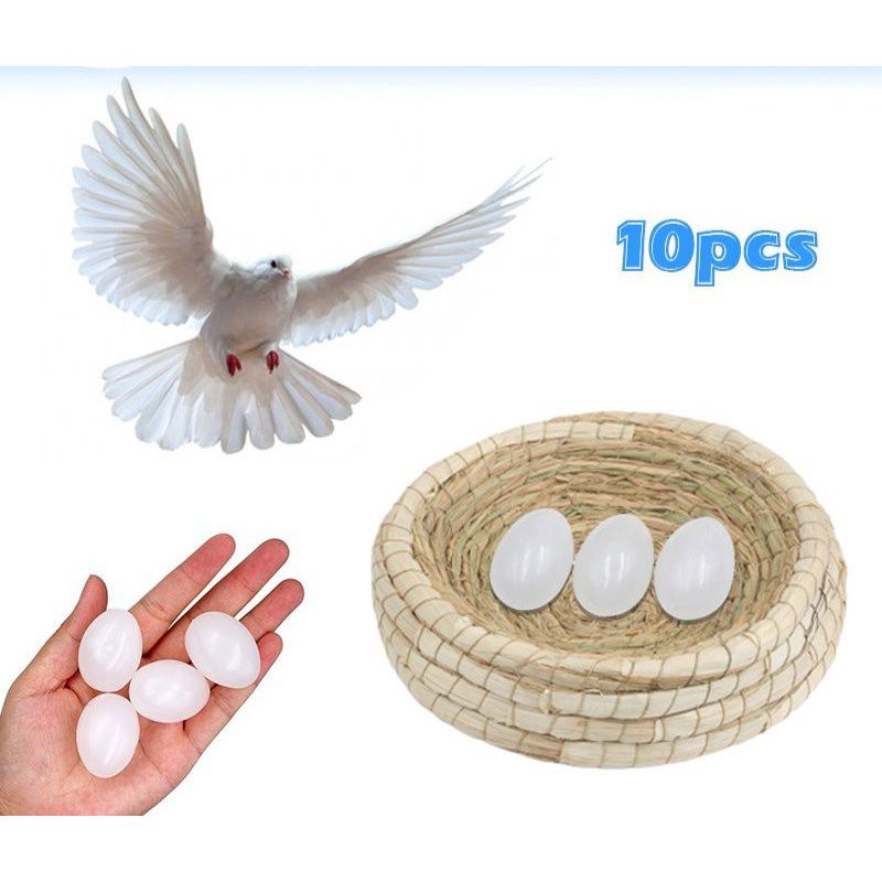 PIGEON EGGS/FAKE EGGS/ของเล่น BIRD EGGS/PLASTIC EGGS/QUALITY FAKE EGGS