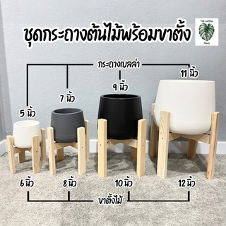 ชุดกระถางต้นไม้พร้อมขาตั้ง ขนาด 5นิ้ว 7นิ้ว กระถางมินิมอลเบลล่ามีจานรองน้ำในตัวขาตั้งไม้แข็งแรง