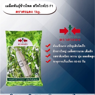 ข้าวโพด สวีทไวท์ 25 F1 5,000 เมล็ด / ถุง