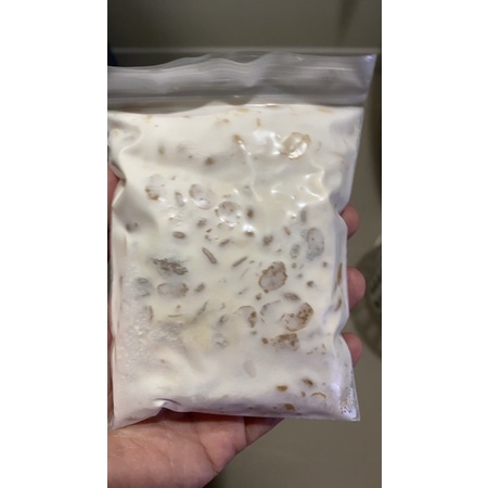 Tempeh เทมเป้สด (งาดำ+ถั่วเหลือง) 100 กรัม ❗️ กดเลือกส่งแบบเย็น แถม 1 ชิ้นทุกออเดอร์