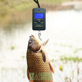 Seashell02* 40kg/10g Portable Mini Digital Fishing Scales w/ Hanging Hook Luggage Scale