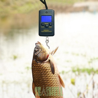 Seashell02* 40kg/10g Portable Mini Digital Fishing Scales w/ Hanging Hook Luggage Scale