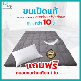 Softtop Topper รุ่นขนเป็ดแท้ธรรมชาติ (แถมหมอน1ใบ) ท็อปเปอร์ ทอปเปอร์  กันไรฝุ่น ใช้งานได้ยาวนาน 10 ปีขึ้นไป