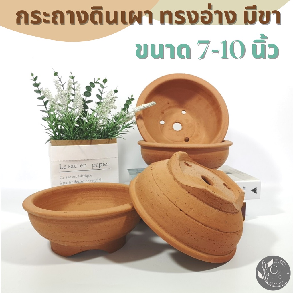 กระถางต้นไม้ดินเผา เหมาะปลูกชวนชม และจัดสวนถาด