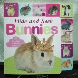 Hide and Seek Bunnies (Lift-the-flap Tab Books)- E