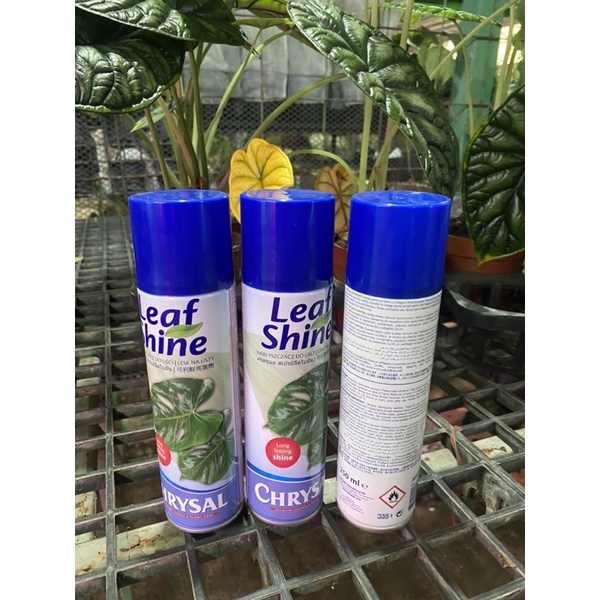 สเปรย์ฉีดใบมันบำรุงใบช่วยให้ใบสวยงามลดใบเสียด750ml