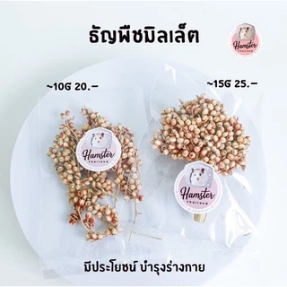[Hamsterthailand]Flaxseed เฟล็ก มิลเล็ตสเปรย์ ข้าวฟ่าง ธัญพืช แทะคลายเครียด ขนมแฮมสเตอร์ อาหารนก