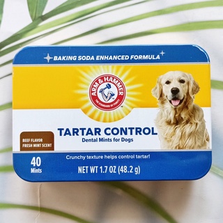 ขนมขัดฟัน ลดกลิ่นปาก สำหรับสุนัข Tartar Control Dental Mints For Dogs, Beef Flavor Fresh Mint Scent 40 Mints (Arm &amp; Hammer®)