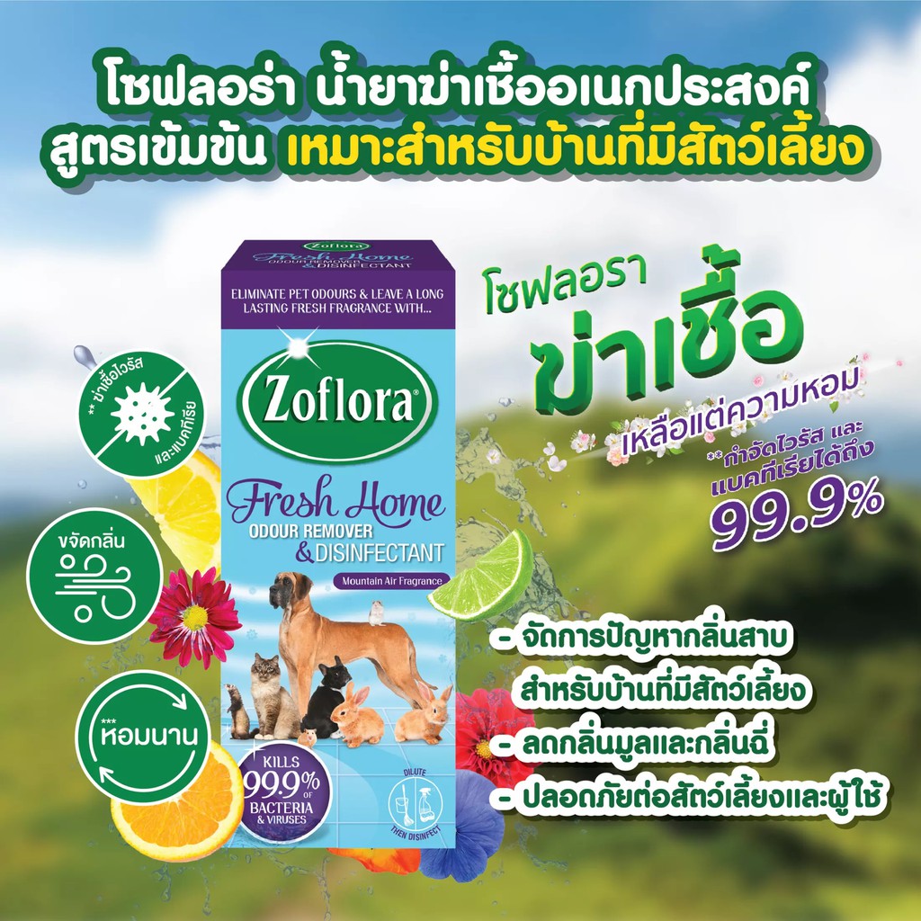 แถมกระบอกฉีด 1 ชิ้น Zoflora เหมาะสำหรับบ้านที่มีสัตว์เลี้ยง กลิ่นเฟรชโฮม เมาท์เทน แอร์ 500 มล.