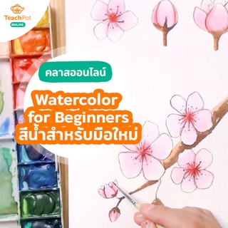 คลาส Watercolor for Beginners ฝึกวาดสีน้ำสำหรับมือใหม่ บอกเคล็ดลับ ฝึกสีน้ำให้เก่งเร็วขึ้น