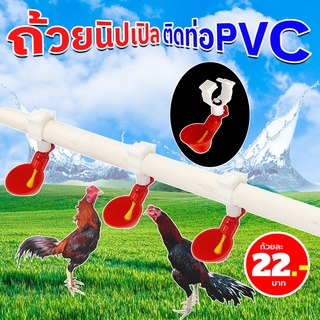 ถ้วยให้น้ำไก่ นิปเปิลไก่แบบถ้วย ติดท่อPVC (10ถ้วย/แพ็ค)