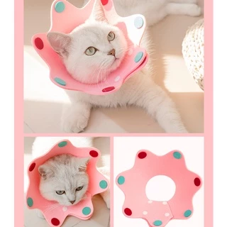 พร้อมส่ง🔥🐈ปลอกคอกันเลียแผล[มงกุฎ] 👑คอลล่าแมว🌸ลำโพงแมว คอลล่าทรงมงกุฎ สุดน่ารัก ลำโพงกันเลีย