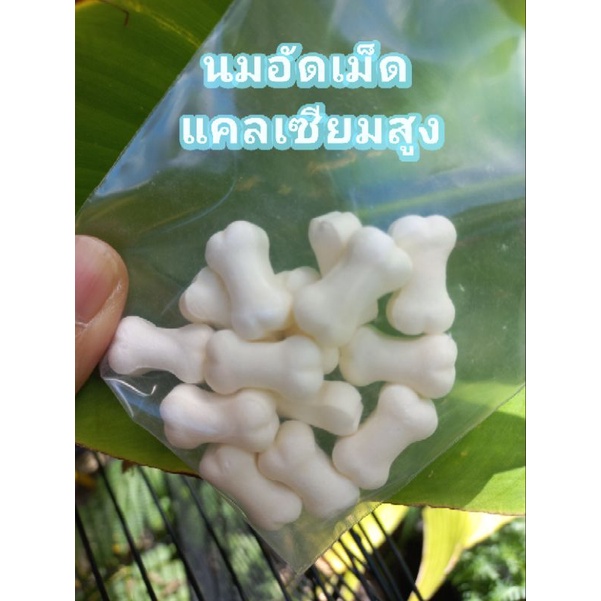 #นมอัดเม็ด
#แคลเซียมสูง
#อาหารสัตว์เลี้ยง
#แฮมสเตอร์
#ชูการ์ไรเดอร์