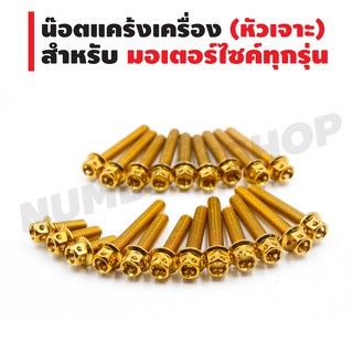 ชุดน็อตแคร้งเครื่อง-หัวเจาะ สำหรับ มอเตอร์ไซค์ทุกรุ่น สีทอง