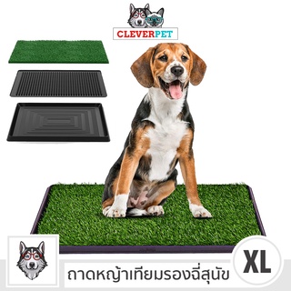 [พร้อมส่ง🇹🇭] PET POTTY ห้องน้ำสุนัข แผ่นซับฉี่สุนัข ถาดฉี่ ห้องน้ำสัตว์เลี้ยง แผ่นฉี่สุนัข Pee Pad Dog Toilet Cleverpet