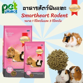 [3kg.][1kg.] อาหารสัตว์ฟันแทะ Smartheart Rodent  อาหารหนูตะเภา อาหารกระต่าย สำหรับ กระต่าย หนูแกสบี้  ชินชิล่า หนูขวัญ