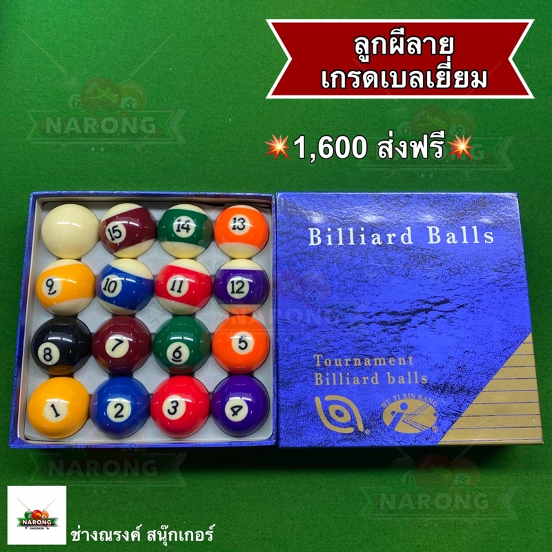 ลูกผีลาย เกรดเบลเยี่ยม