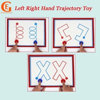 ของเล่นวิถีมือซ้าย และขวา Montessori Eye เสริมการเรียนรู้เด็ก